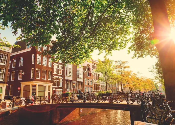 Flying Pig UptownHostel Amsterdam